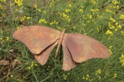 Butterfly Staked Flamed Copper
