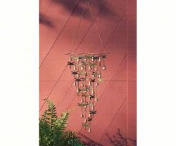 Shimmering Bells Dragonflies