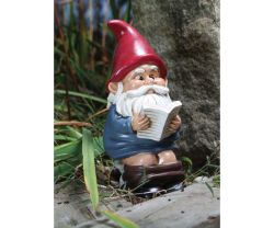 Gnome on a Throne