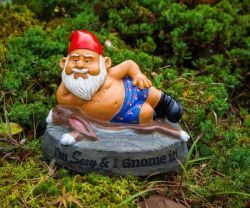 Sexy and I Gnome It Garden Gnome
